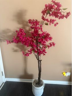 Decor plant