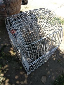 Bird cage cheap need gone