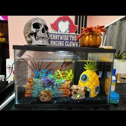 5 gallon Fish Tank 