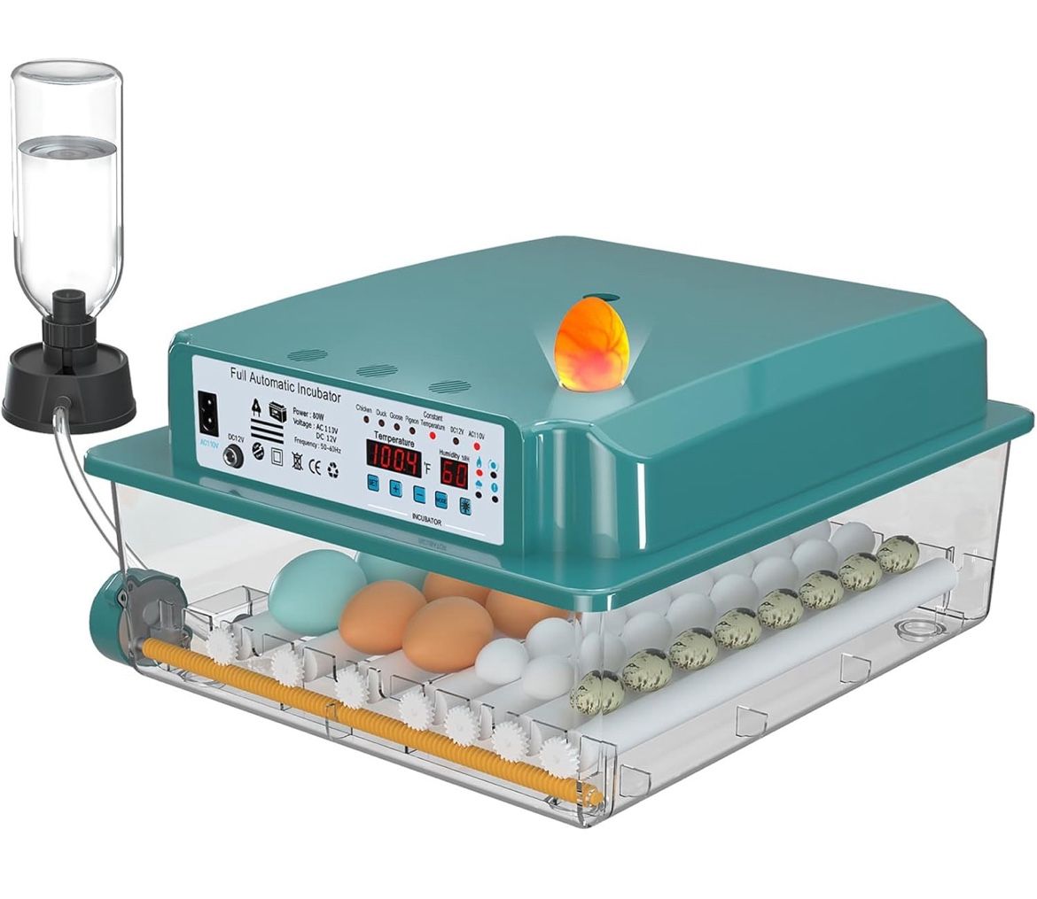 Incubators for Hatching 36 Eggs