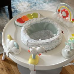 Skip Hop Activity Center