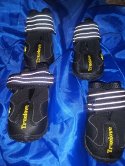 Truelove dogs shoes size 4 !!