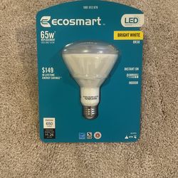 Ecosmart LED Light Bulb BR30
