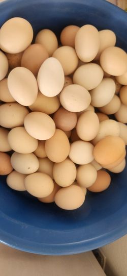 Eggs