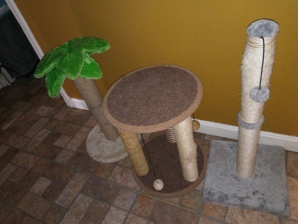 Cat Toys