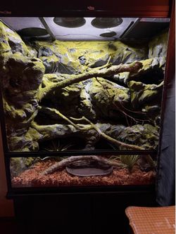 Custom 48x24x48 Reptile Enclosure Vivarium PVC ToxiRium Arcadia Lighting WiFi