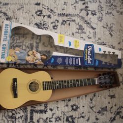 Acoustic Guitar