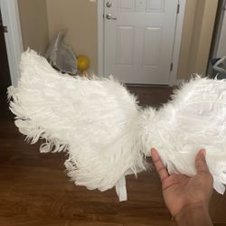 Angel Wings 
