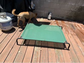 Outdoor dog bed