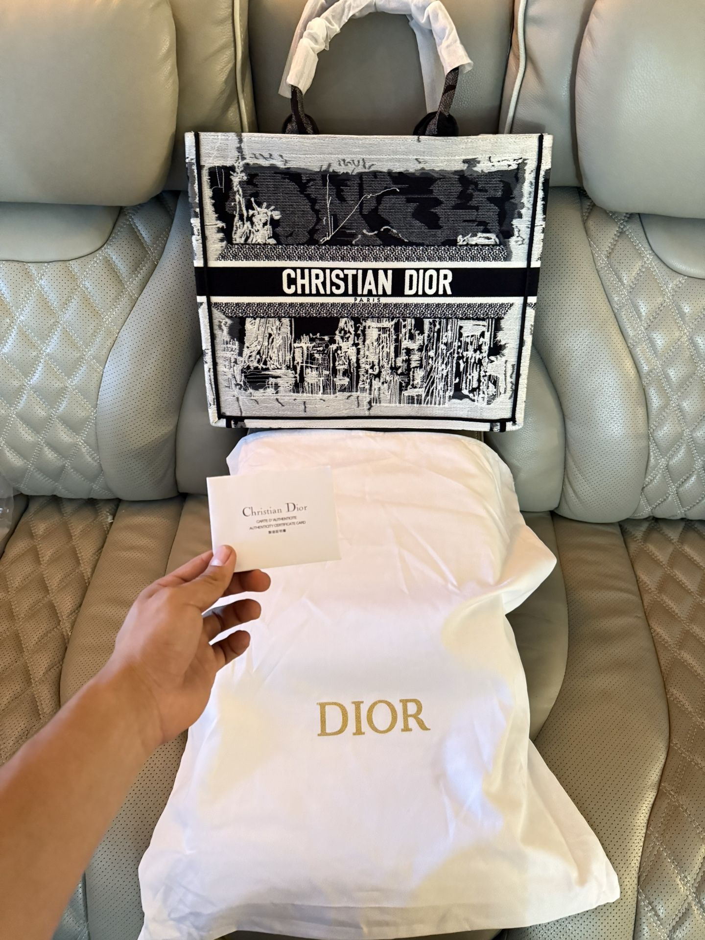 Dior tote bag