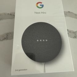 Google Nest Hub And Mini