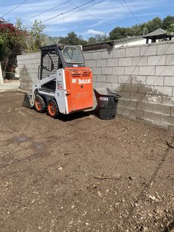 Bobcat