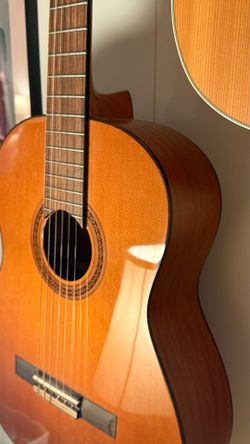 Almost New Accoustic Clasical Guitar Cordoba C5