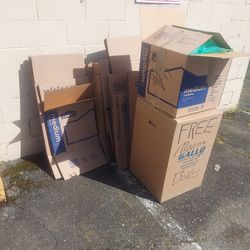 Free moving Boxes