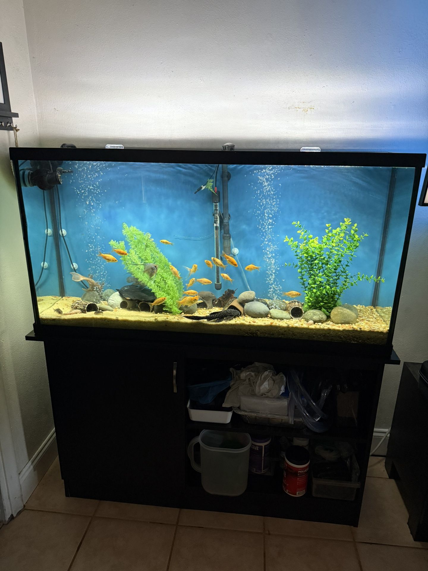 Fish Tank 60 Gallon with stand