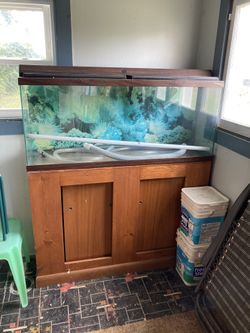 55 Gallon Salt Water Fish Tank