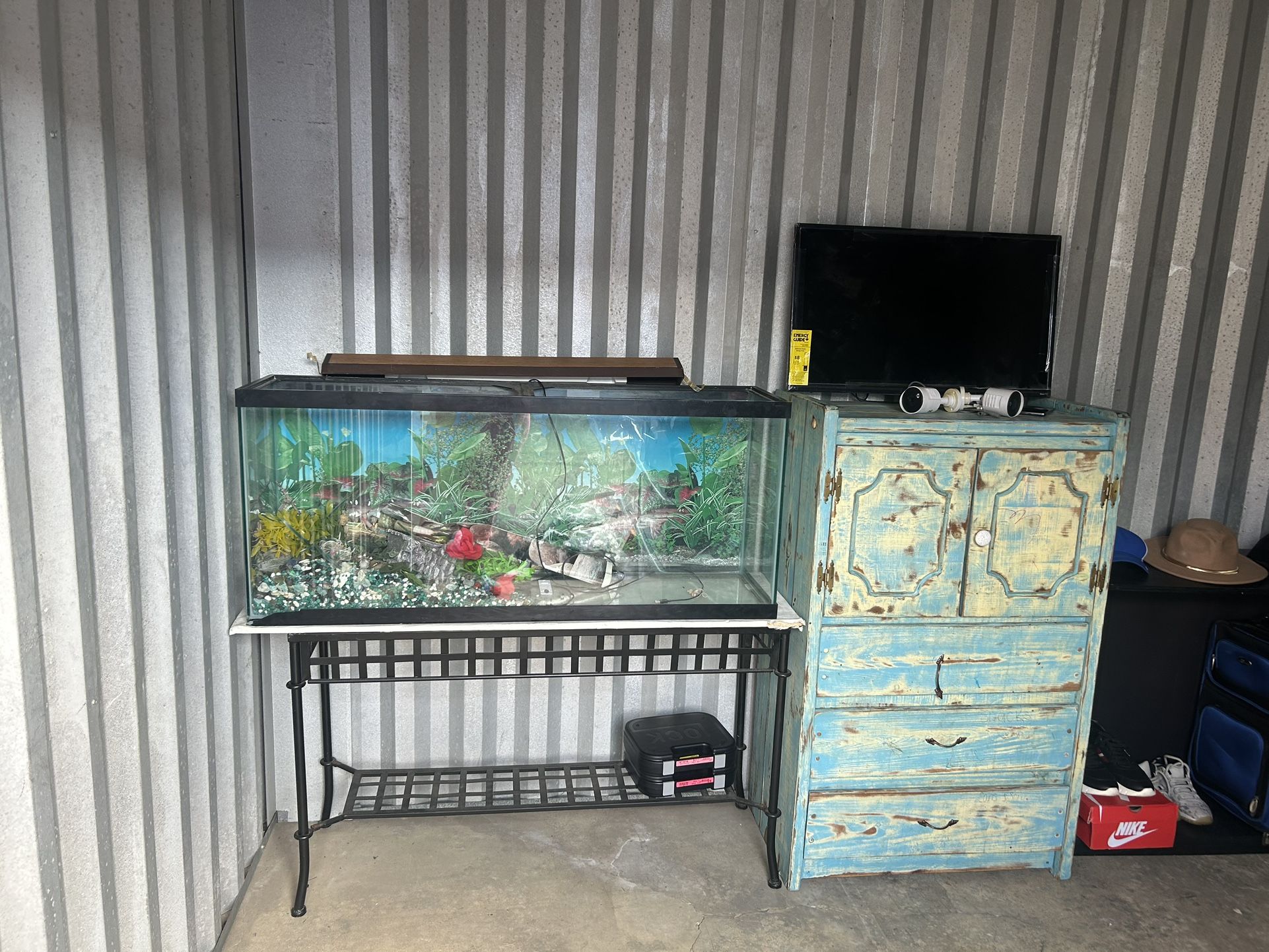 50 Gallon Fish Tank