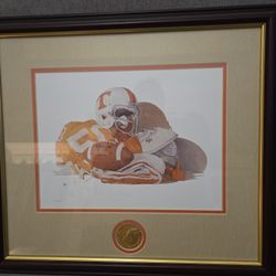 TN Vols Football Picture 