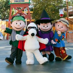 Knotts Berry Farm E-ticket