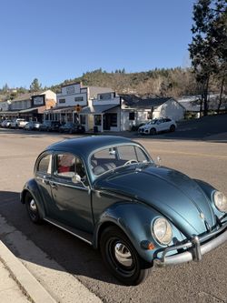 1955 Vw Bug