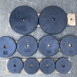 110 lbs Pancake Style Weight Plates
