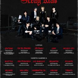 Stray kids Concert
