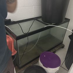 90 Tank- Doesn’t Hold Water 