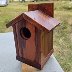 Bird House - Brazilian Tiger Wood. 