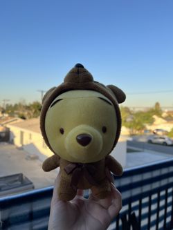 Winnie the Pooh Plush in Racoon Costume