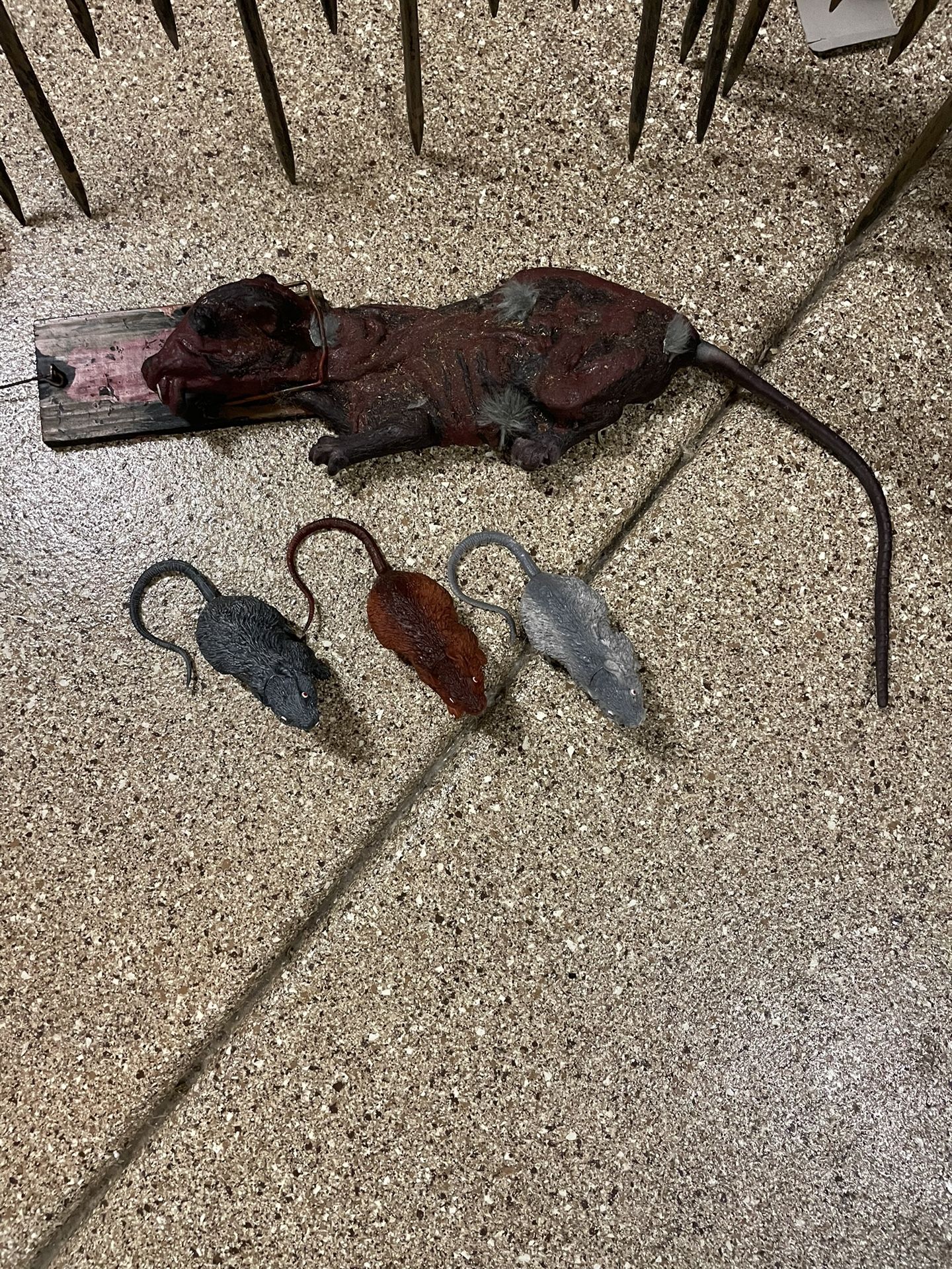Halloween Decorations