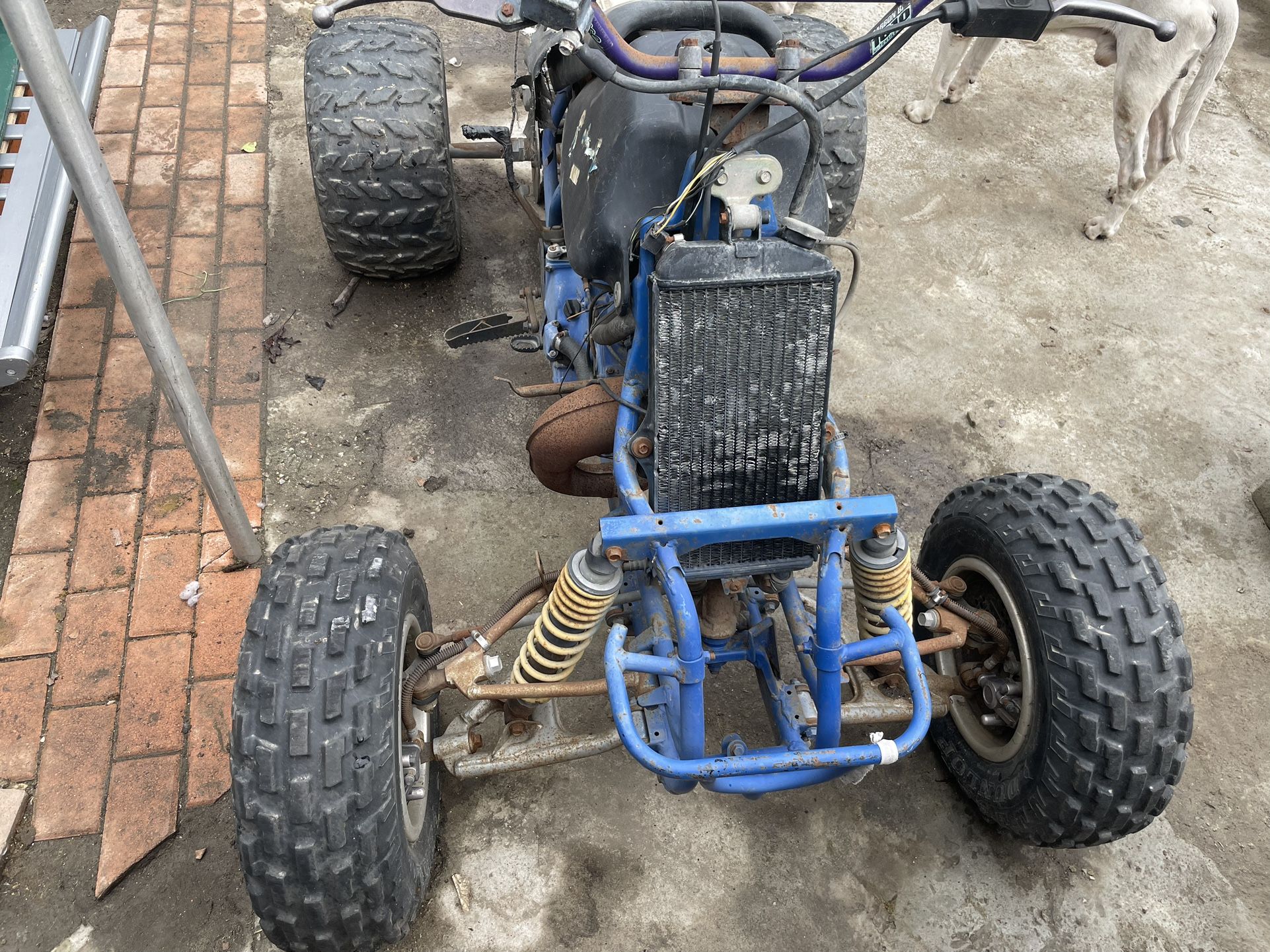 1987 Suzuki Quad Racer 250