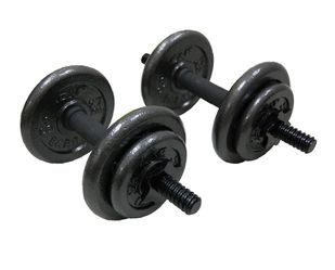 40lb Weight Set With Dumbbell Handles