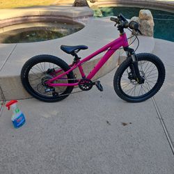 Liv STP 20 Mountain Bike