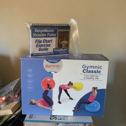 Gimmic Exercise Ball And Shoulder Pulpy