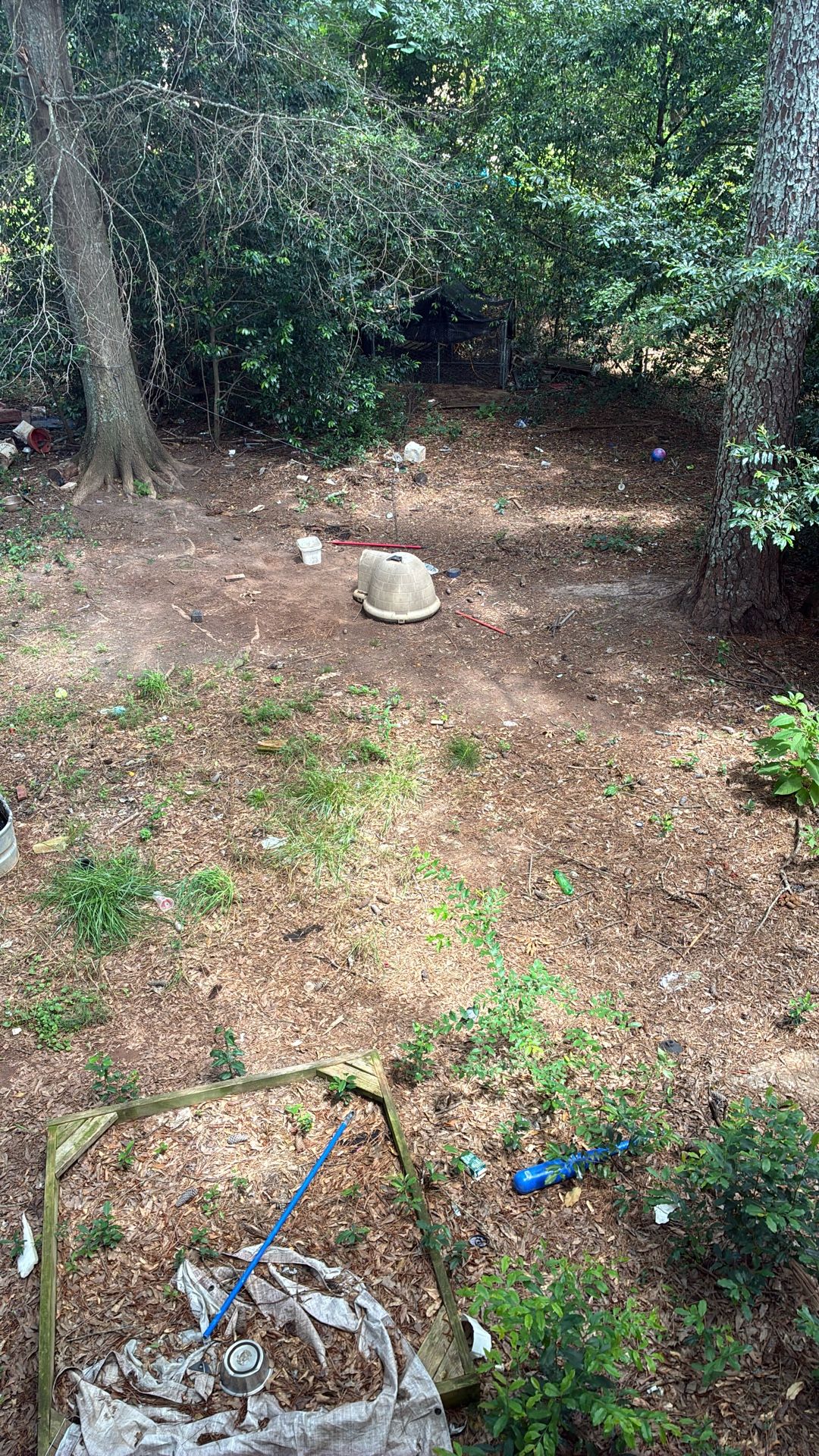 Dog House For Sale 
