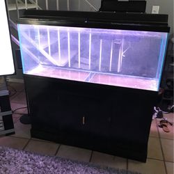 55 Gallon Aquarium, Stand, Hood, Light and Filter for Sale in Lakeland, FL  - OfferUp