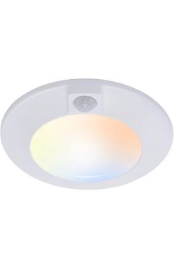CLOUDY BAY 5 Color Motion Sensor Ceiling Light(brand new)
