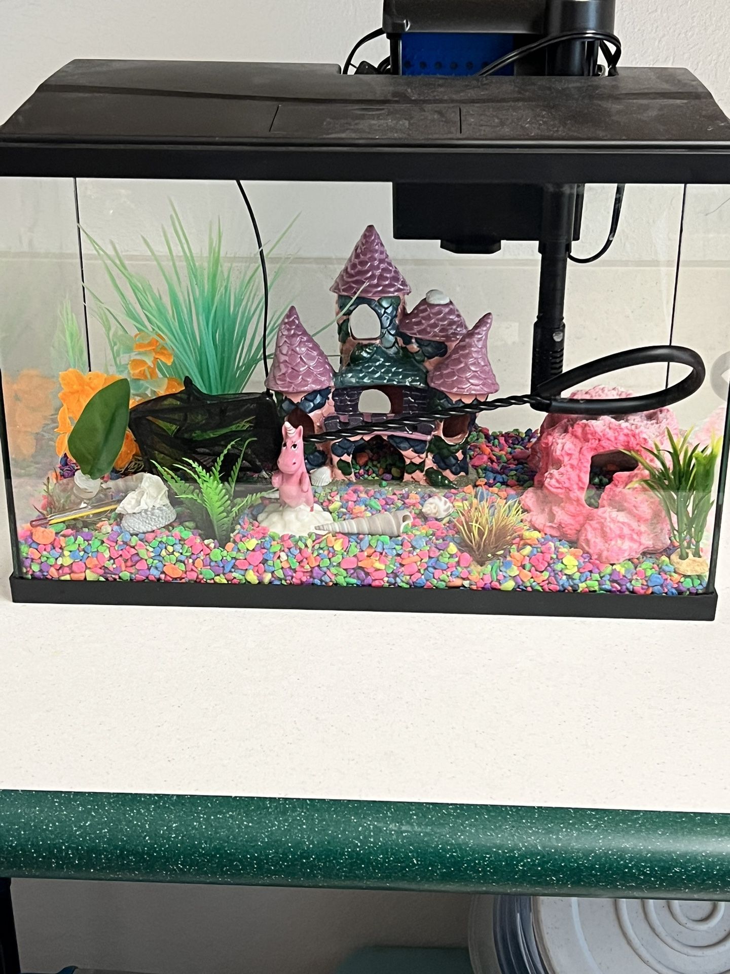 Betta Fish Tank 5 Gallon