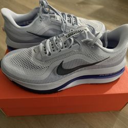 Nike Pegasus Premium (Violet) Size 11