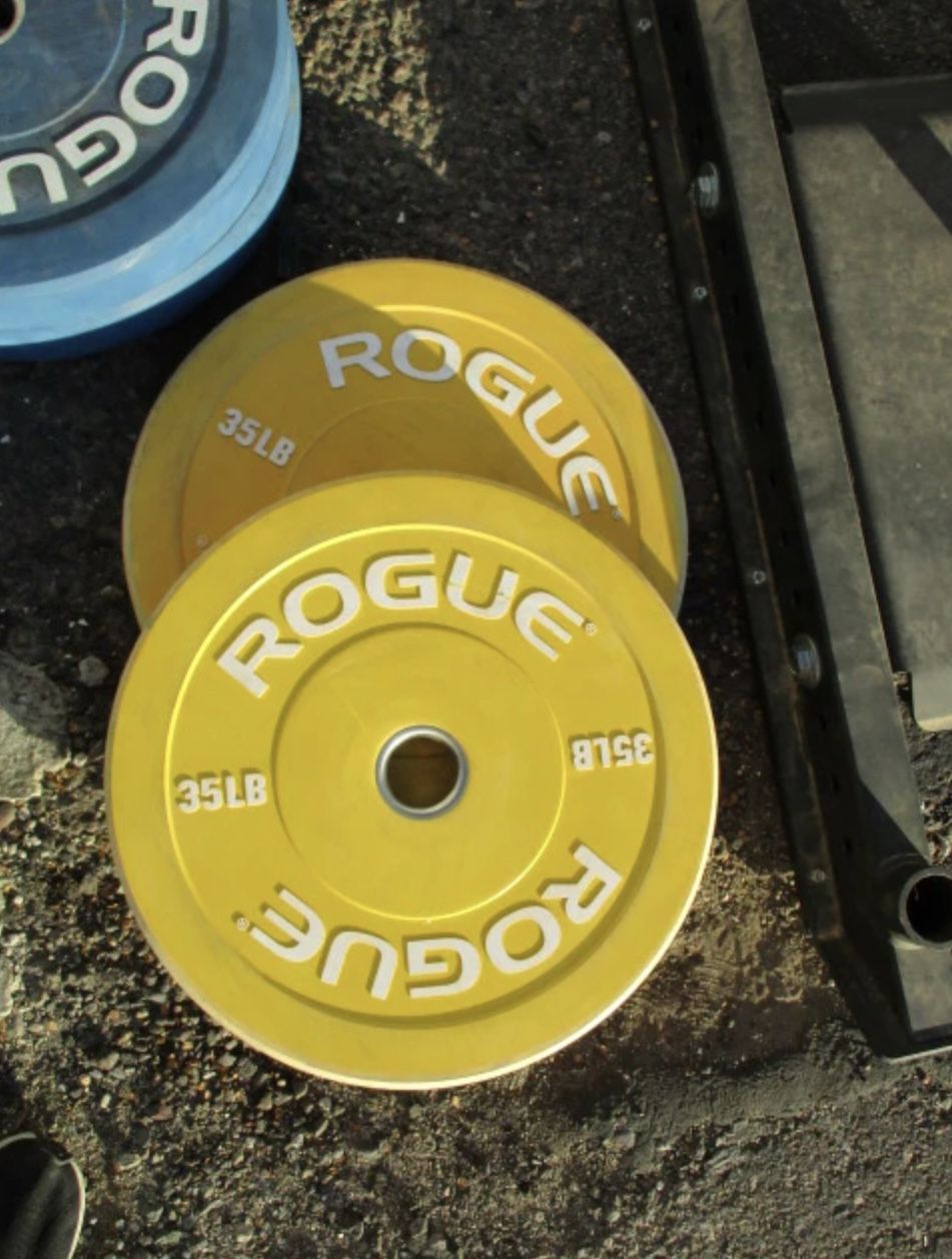 Used Rogue 35lb BUMPER PLATES SET OF 2 ( Read The Description)
