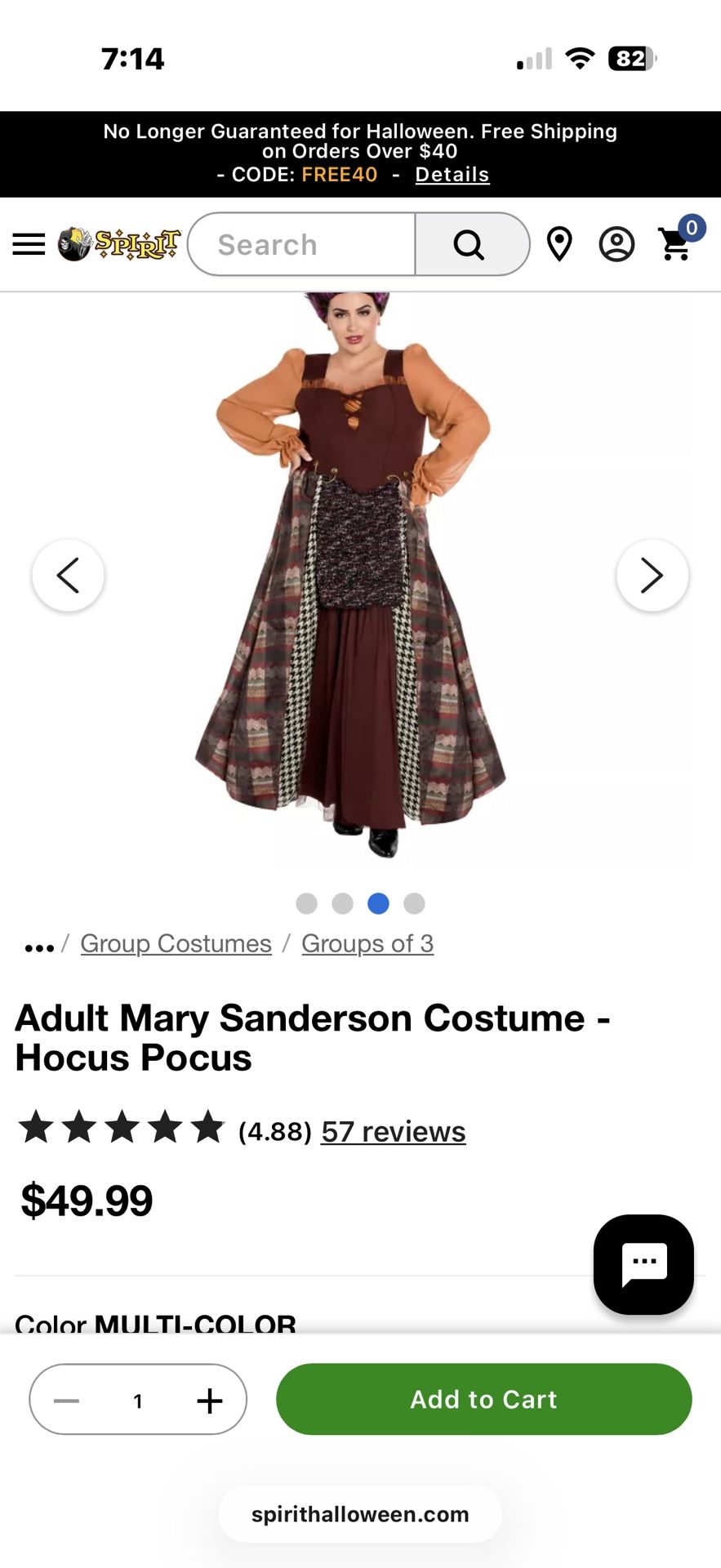 Mary Sanderson Adult Extra Large Dress