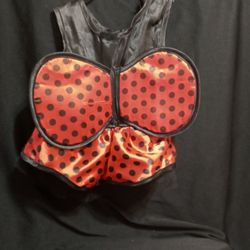 Doggie Lady Bug Costume