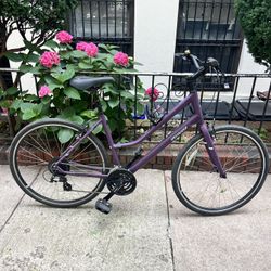 Large Specialized Alibi Sport Step Through MUST GO ASAP