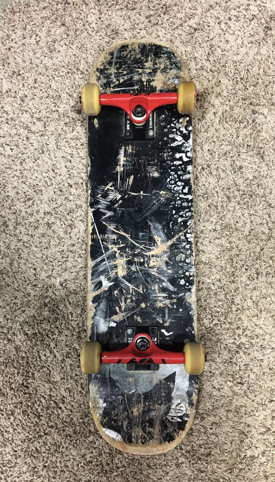 Complete Skate Board