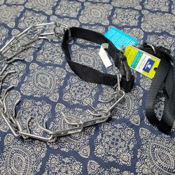 NEW TRAINING DOG COLLAR