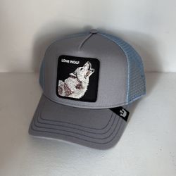 Goorin Bros Snapback Hat 🧢 