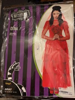 Beetlejuice Lydia costume