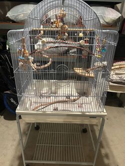 Bird cage with bird toys