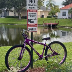 SE purple Big Ripper 29