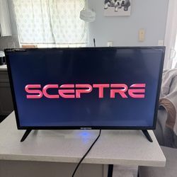 Sceptre 32” TV in great condition. 	•	Used lightly as a gaming monitor 	•	Works perfectly, no issues 	•	Includes original box  Perfect for: 	•	Gaming 